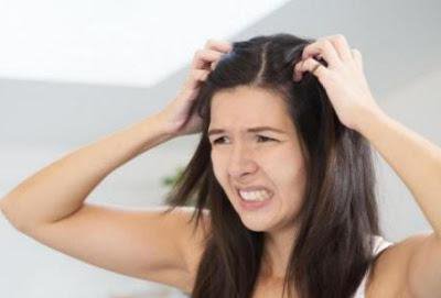 Как лечить волосы от дерматита thumbnail