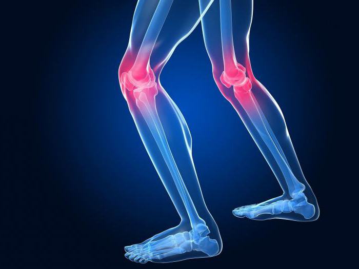 Лечение коленного сустава народными средствами отзывы thumbnail