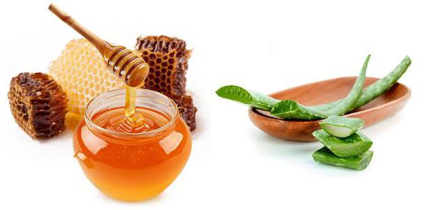 Народные рецепты при язве желудка с медом и алоэ thumbnail