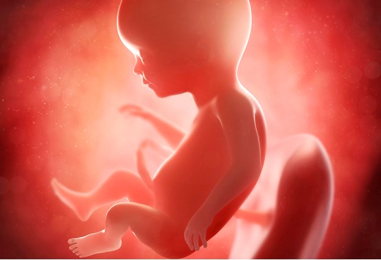 Беременность колит внизу живота 17 недель беременности thumbnail