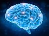 Какой отдел головного мозга отвечает за головную боль