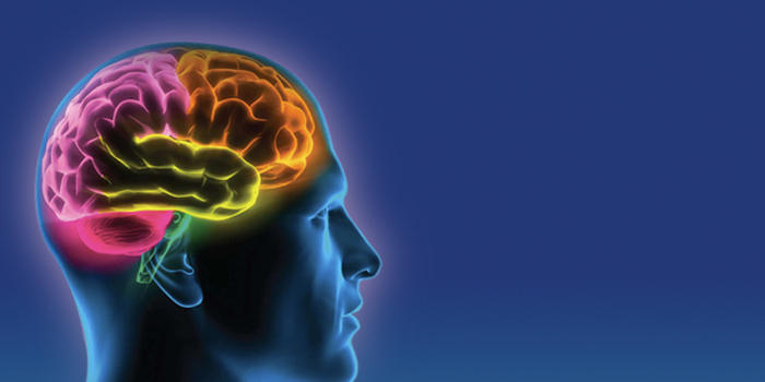 Какой отдел головного мозга отвечает за головную боль thumbnail