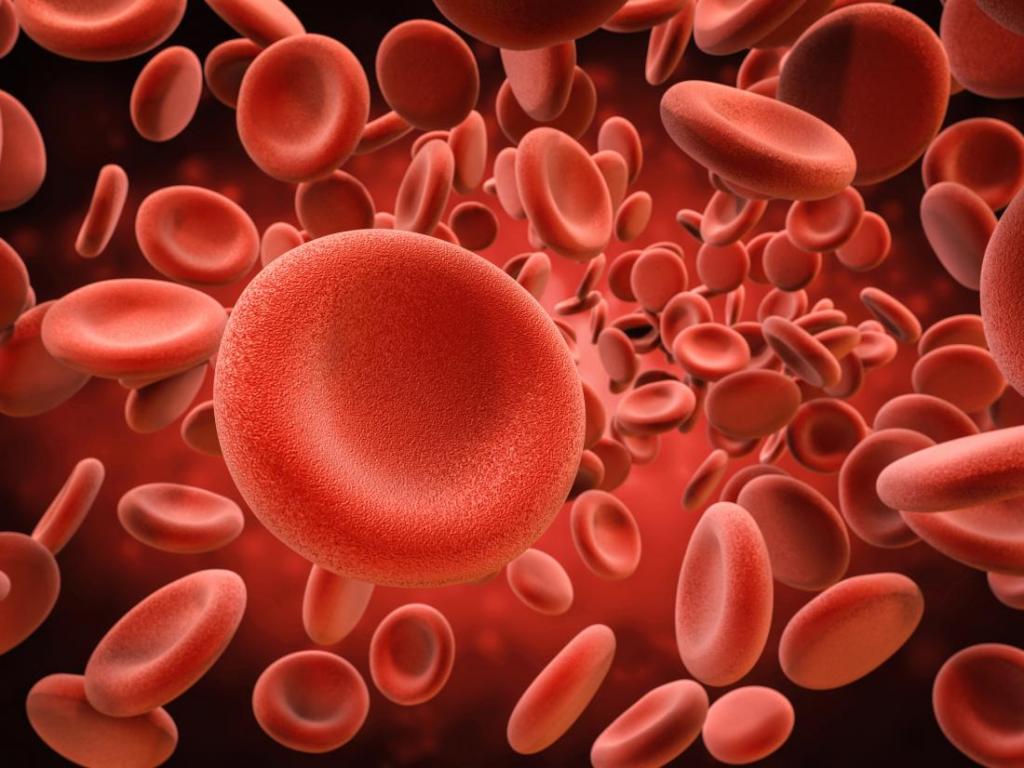 Анализ крови определяющий болезни крови thumbnail