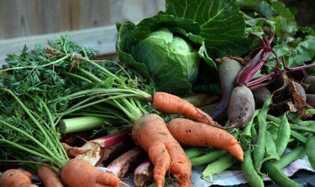 Можно ли есть свежие овощи при гастрите