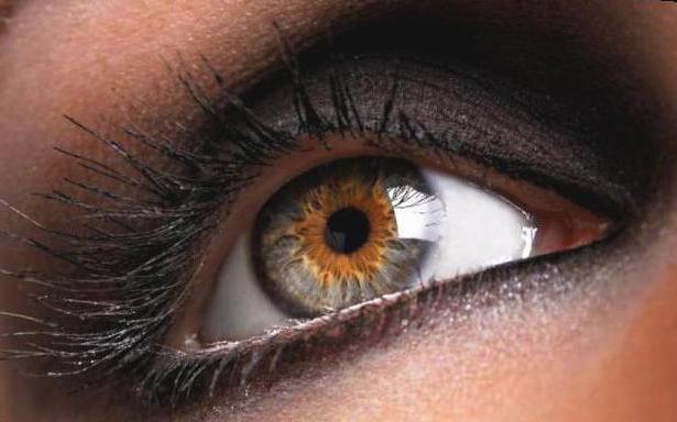 ангиопатия сетчатки глаза что это такое 