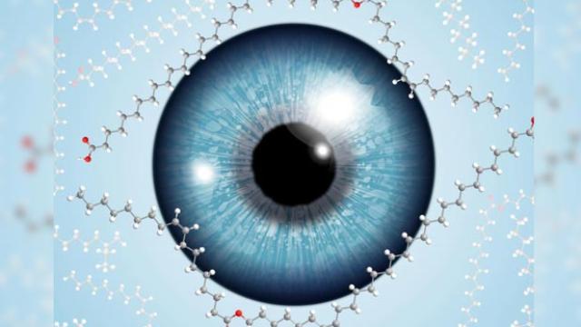 глаз как оптический прибор физика