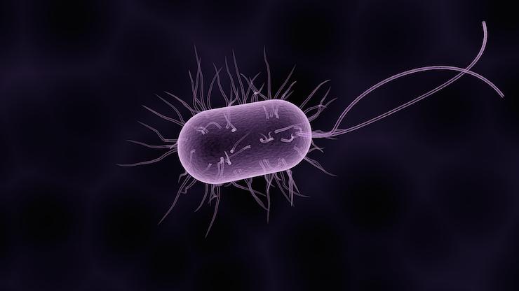 какие заболевания человека вызываются бактериями
