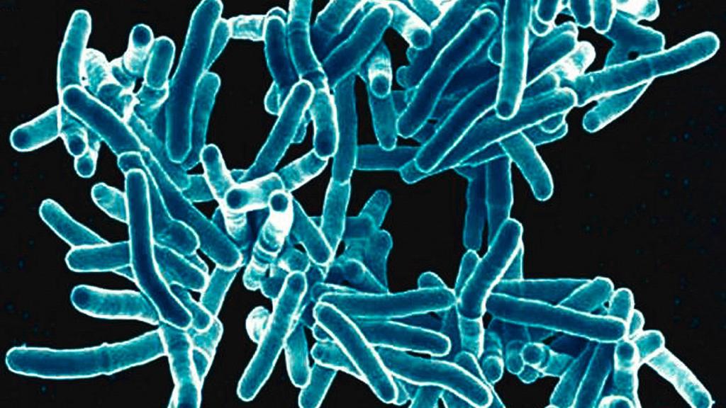 каким путем передается туберкулез легких
