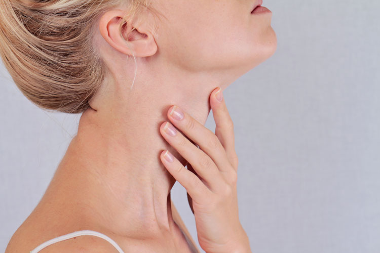 Какую роль выполняет щитовидка?