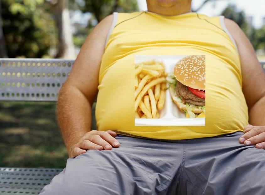 что служит причинам ожирения